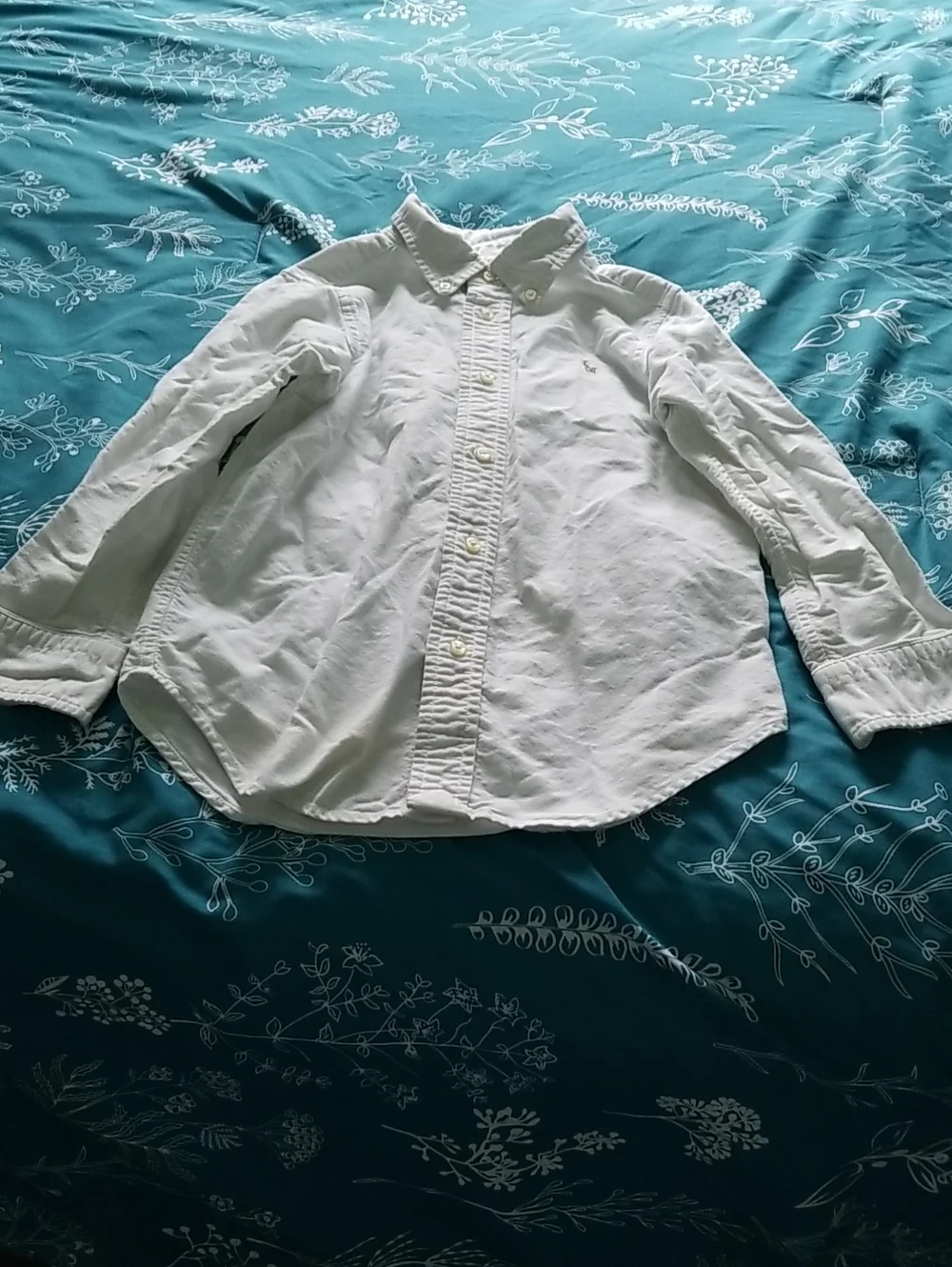 Ralph Lauren #1 flannel